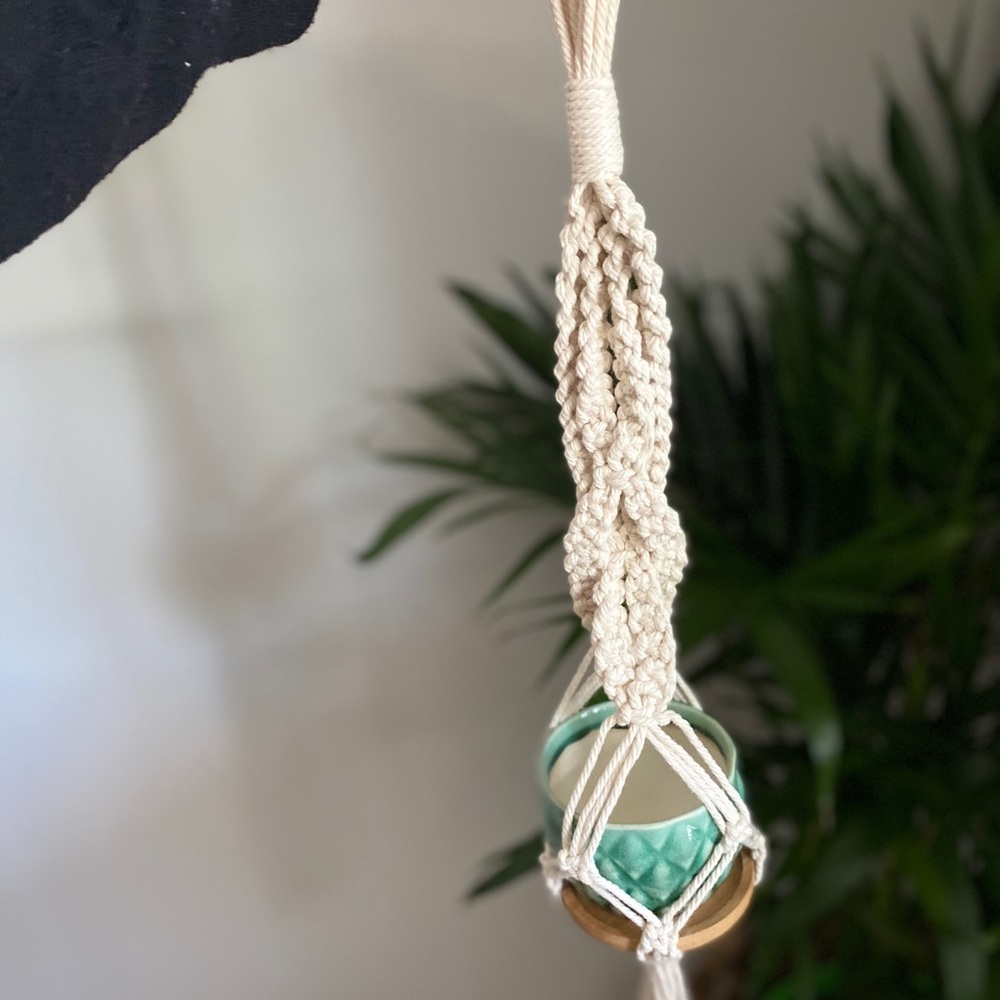 One of a kind handmade macrame succulent hanger 🌵